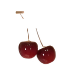 4152b106-25eb-46e9-838d-4211d5db2d99